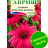 Эхинацея Красная шляпа [Гавриш] купить с доставкой - Эхинацея Красная шляпа [Гавриш] купить с доставкой