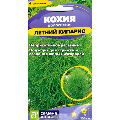 Кохия Летний Кипарис [Семена алтая] купить с доставкой Кохия Летний Кипарис - необычайно красивое и оригинальное растение, напоминающее живописный ярко-зеленый шар. Благодаря сочной зелени кружевной листвы и изящности очаровательная кохия сохраняет декоративность до первых заморозков, украшая клумбу или миксбордер в течение всего сезона.