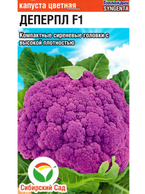 Капуста цветная Деперпл [Сибирский сад] купить с доставкой Это необычный сорт с эффектными фиолетовыми головками, привлекающий внимание не только своим внешним видом, но и насыщенным вкусом. Этот сорт богат антоцианами, что делает его не только полезным, но и устойчивым к воздействию ультрафиолета. Капуста Деперпл отличается хорошей лёжкостью, универсальностью в использовании и подходит как для свежих салатов, так и для термической обработки.