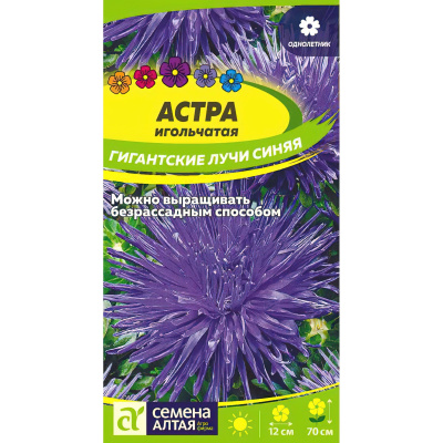 Астра Гигантские лучи Синяя [Семена алтая] купить с доставкой удивительный микс изящности и красоты