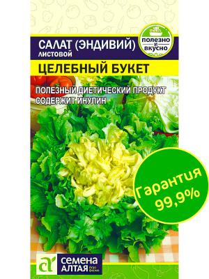Салат Эндивий Целебный Букет [Семена алтая] купить с доставкой Вкусная и хрустящая зелень содержит инулин, а также повышенную концентрацию витаминов, микро- и макроэлементов, сахаров и белков.