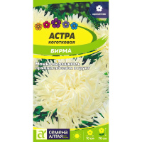 Астра Бирма коготковая [Семена алтая]