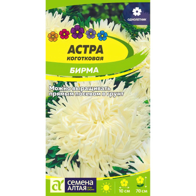 Астра Бирма коготковая [Семена алтая] купить с доставкой сочетание изысканной красоты и совершенно новой формы коготковых соцветий