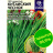 Лук Душистый Китайский Чеснок [Семена алтая] купить с доставкой - Лук Душистый Китайский Чеснок [Семена алтая] купить с доставкой