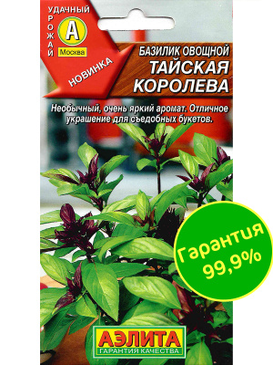 Базилик овощной Тайская королева [Аэлита] купить с доставкой Это необычное растение привлекает внимание крупными листьями сочного зеленого цвета, сочетающимися с восхитительными пурпурными побегами и темно-лиловыми соцветиями.