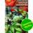 Базилик овощной Тайская королева [Аэлита] купить с доставкой - Базилик овощной Тайская королева [Аэлита] купить с доставкой