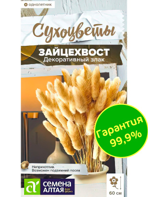 Зайцехвост злак декоративный [Семена Алтая] купить с доставкой нежное, очаровательное декоративное растение, попавшее в Европу из Азиатских регионов и Северной Африки