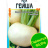 Репа Гейша [Семена алтая] купить с доставкой - Репа Гейша [Семена алтая] купить с доставкой