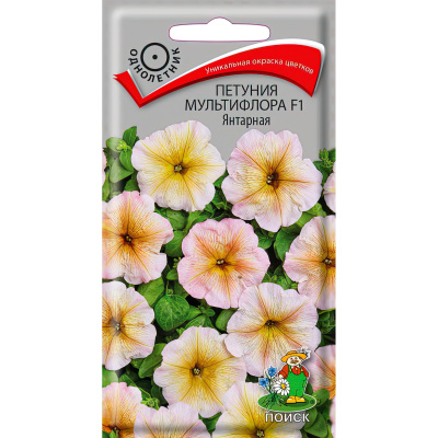 Петуния мультифлора Янтарная [Поиск] купить с доставкой удивительно красивый гибридный сорт петуний, отличающийся неприхотливостью в уходе и роскошным цветением