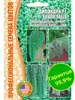 Дихондра Silver Falls [Семена редких растений]