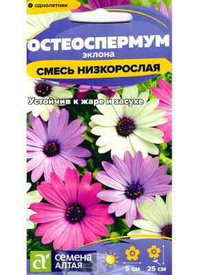 Остеоспермум Смесь низкорослая [Семена алтая] купить с доставкой Остеоспермум Эклона низкорослая смесь — удивительное декоративное растение, радующее пышным и продолжительным цветением. Его соцветия напоминают крупные яркие ромашки, окрашенные в разнообразные оттенки: белый, розовый, жёлтый, фиолетовый и оранжевый. Центр цветка часто выделяется контрастной окраской, придавая особую выразительность. Компактные кустики украсят любой сад, заполняя пространство насыщенными красками с начала лета до первых заморозков.