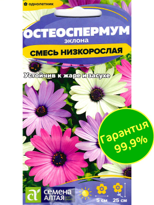 Остеоспермум Смесь низкорослая [Семена алтая] купить с доставкой Остеоспермум Эклона низкорослая смесь — удивительное декоративное растение, радующее пышным и продолжительным цветением. Его соцветия напоминают крупные яркие ромашки, окрашенные в разнообразные оттенки: белый, розовый, жёлтый, фиолетовый и оранжевый. Центр цветка часто выделяется контрастной окраской, придавая особую выразительность. Компактные кустики украсят любой сад, заполняя пространство насыщенными красками с начала лета до первых заморозков.