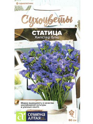 Статица Хипстер Блю [Семена алтая] купить с доставкой Статица Хипстер Блю [Семена алтая]