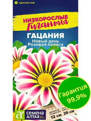 Гацания Новый день Розовая полоса [Семена алтая] купить с доставкой восхитительный однолетник и настоящий рекордсмен по выживаемости в самых разных условиях