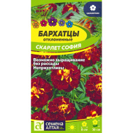 Бархатцы Скарлет София махровые [Семена алтая]
