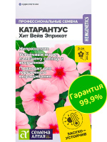 Катарантус Хит Вейв Эприкот [Семена алтая]