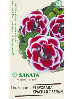 Глоксиния Брокада Красная с Белым [Гавриш] купить с доставкой Огненная махровая звездочка, которая будет сиять в вашей квартире все лето — красная Брокада! Посадите ее в качестве яркого акцента и вы не сможете оторвать глаз. Глоксиния Брокада Красная с белым краем — невысокий кустик, который достигает 20-25 см в высоту и ширину.