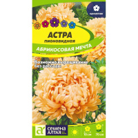 Астра Абрикосовая Мечта [Семена алтая]