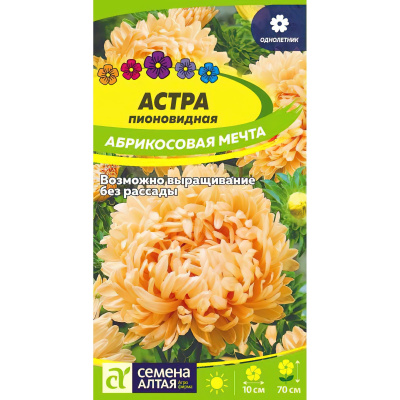Астра Абрикосовая Мечта [Семена алтая] купить с доставкой это холодостойкая красавица астра абрикосовая мечта