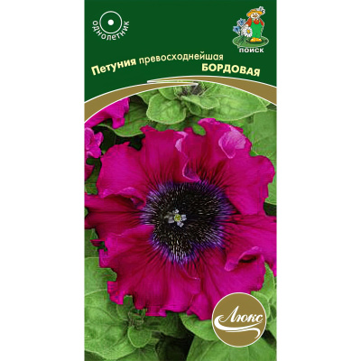 Петуния превосходнейшая Бордовая [Поиск] купить с доставкой гигантские цветы темно-бордового цвета приковывают к себе взгляды