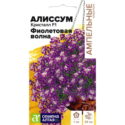 Алиссум Кристалл Фиолетовая Волна ампельный [Семена алтая] купить с доставкой Пышные шапки ампельного аллисума, издали напоминающие букеты сирени, способны преобразить любое придомовое пространство.
