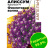 Алиссум Кристалл Фиолетовая Волна ампельный [Семена алтая] купить с доставкой - Алиссум Кристалл Фиолетовая Волна ампельный [Семена алтая] купить с доставкой