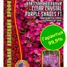 Алиссум Clear Crystal Purple Shades ампельн. [Семена редких растений]