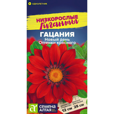 Гацания Новый день Оттенки красного [Семена алтая] купить с доставкой Гибрид отличается продолжительным цветением, неприхотливостью в уходе и устойчивостью к засухе.