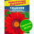 Гацания Новый день Оттенки красного [Семена алтая] купить с доставкой - Гацания Новый день Оттенки красного [Семена алтая] купить с доставкой