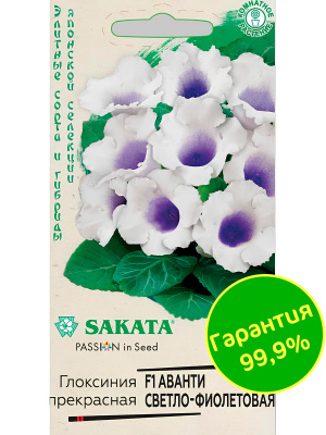 Глоксиния Аванти Светло-фиолетовая [Гавриш] купить с доставкой Исключительная принцесса среди глоксиний! Ее холодный утонченный наряд обладает удивительной способностью завораживать невольных наблюдателей. Глоксиния Аванти Светло-фиолетовая — невысокий кустик, который достигает 20-25 см в высоту и ширину.