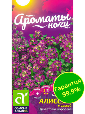 Алиссум Фиолетовая Королева [Семена алтая] купить с доставкой это обязательный элемент пышной и красивой клумбы