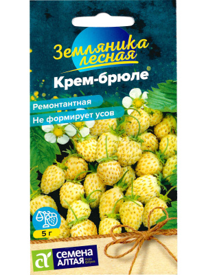 Земляника Крем-брюле желтая ремонтантная [Семена алтая] купить с доставкой ​Земляника Крем-брюле — это не просто ягода, а настоящее лакомство для гурманов! Этот сорт поражает своей экзотической желтой окраской и сладким, насыщенным вкусом, который напоминает десертный крем-брюле.