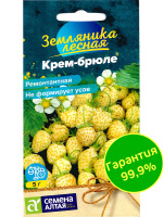 Земляника Крем-брюле желтая ремонтантная [Семена алтая]