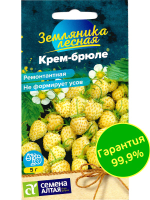 Земляника Крем-брюле желтая ремонтантная [Семена алтая] купить с доставкой ​Земляника Крем-брюле — это не просто ягода, а настоящее лакомство для гурманов! Этот сорт поражает своей экзотической желтой окраской и сладким, насыщенным вкусом, который напоминает десертный крем-брюле.