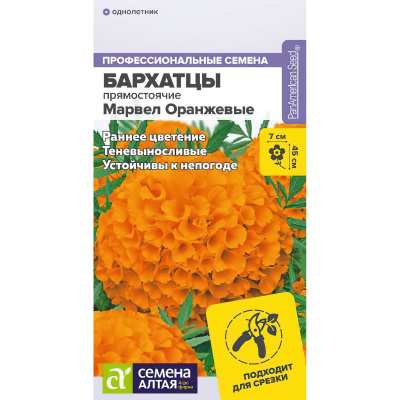 Бархатцы Марвел оранжевые [Семена алтая] купить с доставкой новая серия обильноцветущих и быстрорастущих бархатцев, поражающих изысканной красотой и яркими, «сочными» расцветками