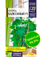 Огурец Балконный [Семена алтая]