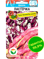 Фасоль Ласточка [Сибирский сад]