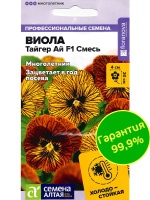 Виола Тайгер Ай Смесь [Семена алтая]