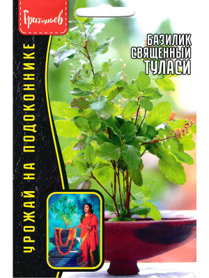 Базилик Туласи священный [Семена редких растений] купить с доставкой 