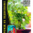 Базилик Туласи священный [Семена редких растений] купить с доставкой - Базилик Туласи священный [Семена редких растений] купить с доставкой