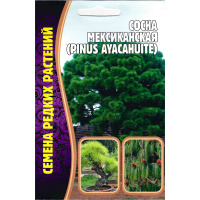 Сосна мексиканская [Семена редких растений]