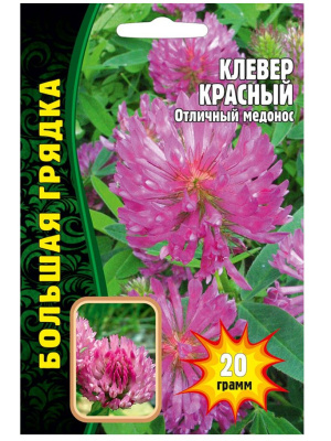 Клевер Красный [Семена редких растений] купить с доставкой Клевер красный — это воплощение природной красоты и изящества. С его помощью можно создать яркий акцент в любом уголке сада, благодаря насыщенным красным цветам, которые словно маленькие огоньки освещают зеленое море листьев. Эти растения не только радуют глаз, но и привлекают бабочек и пчел, добавляя жизни и динамики в любой ландшафт.
