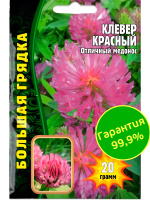 Клевер Красный [Семена редких растений]