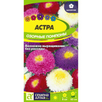 Астра Озорные Помпоны [Семена алтая]