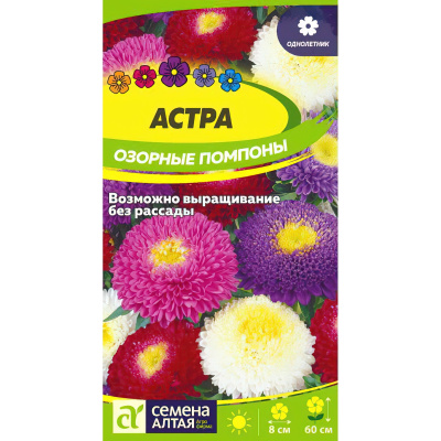 Астра Озорные Помпоны [Семена алтая] купить с доставкой роскошный микс помпонных астр, очаровывающих с первого взгляда
