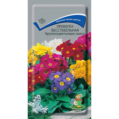 Примула бесстебельная Крупноцветковая смесь [Поиск] купить с доставкой примула быстро покорила сердца всех любителей необыкновенных цветов
