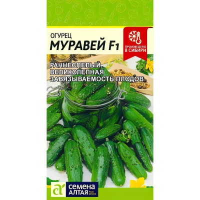 Огурец Муравей [Семена алтая] купить с доставкой Это уникальный гибрид, сочетающий высокую урожайность, хорошую устойчивость к болезням и обильность плодоношения.