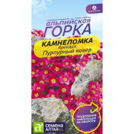 Камнеломка Пурпурный ковер Арендса [Семена алтая]