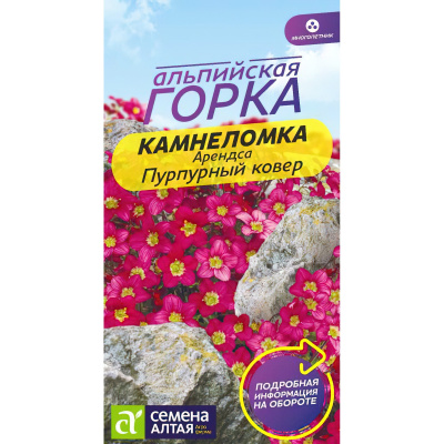 Камнеломка Пурпурный ковер Арендса [Семена алтая] купить с доставкой самый красивый и благородный сорт почвопокровной камнеломки с пышным и ярким цветением