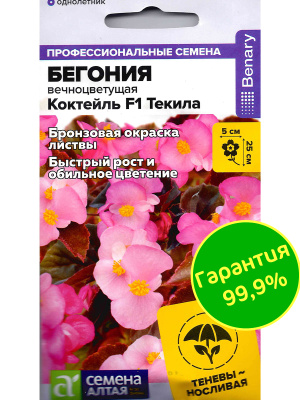 Бегония Коктейль Текила вечноцветущая [Семена алтая] купить с доставкой Изумительное растение, которое порадует вас своим цветением и неприхотливостью в выращивании и уходе. Нежно-розовые цветы впишутся в любой ландшафт, а так же станут главным украшением в доме или квартире.